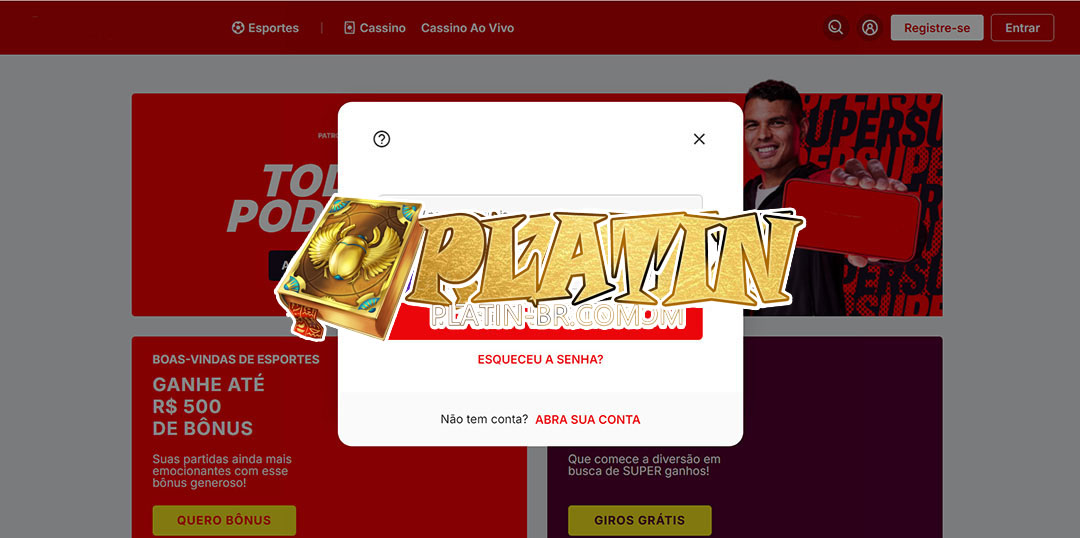platin login